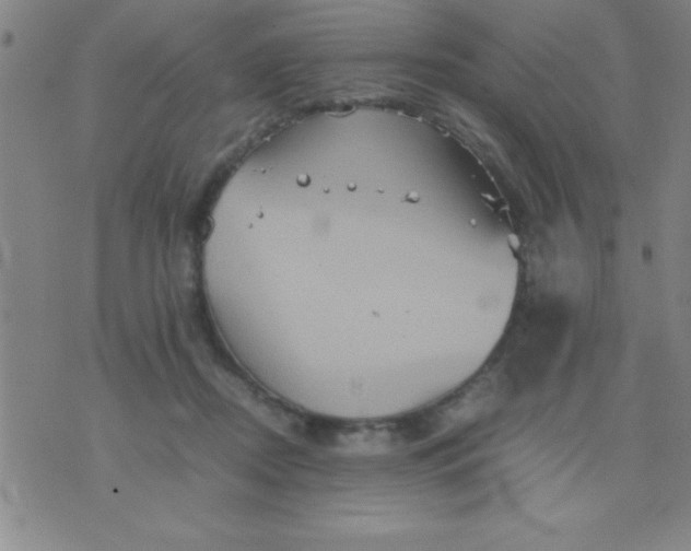 X0000075810362200610061737