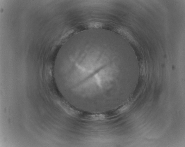 X0000075810363200610061737