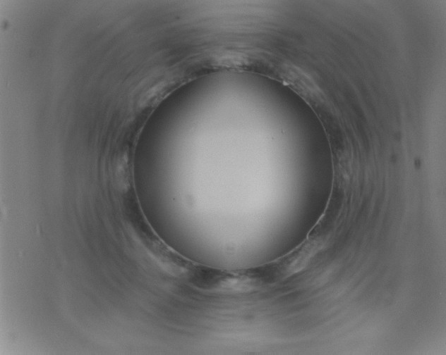 X0000075810364200610061737