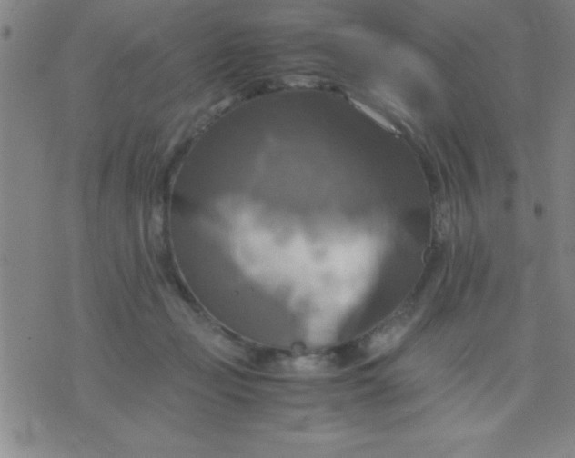 X0000075810365200610061737