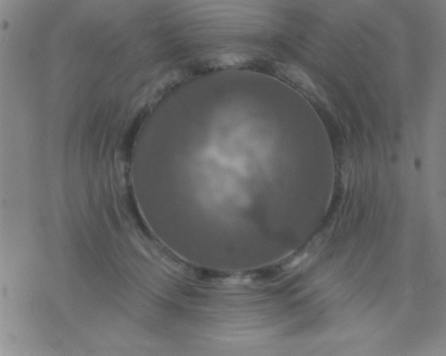 X0000075810366200610061738