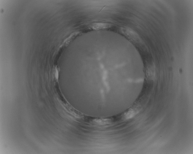 X0000075810367200610061738