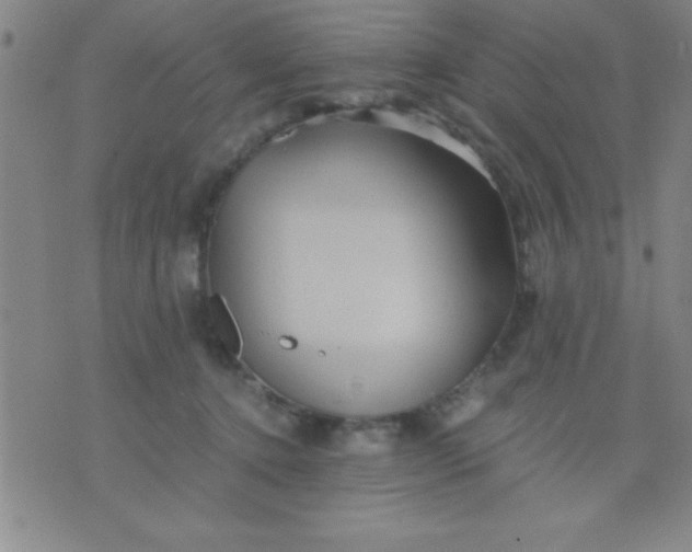 X0000075810368200610061738