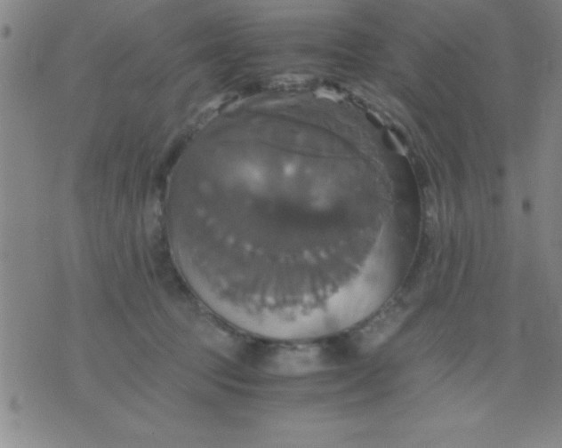 X0000075810369200610061738