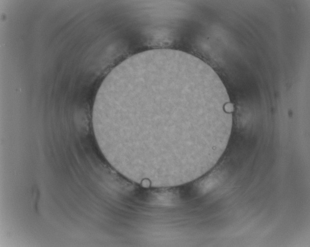 X0000075810370200610061738