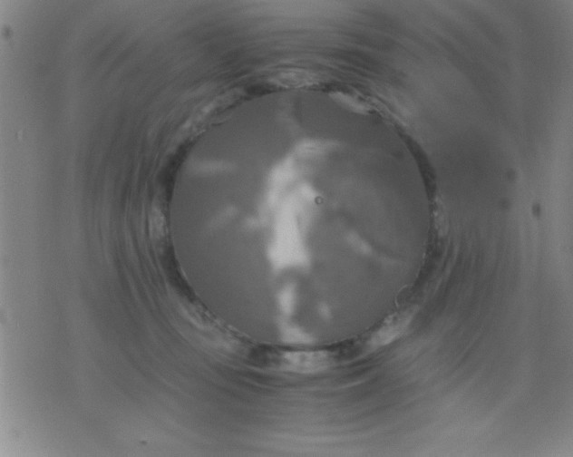 X0000075810371200610061738