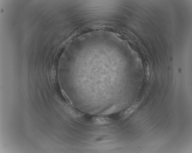 X0000075810372200610061738