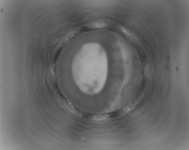 X0000075810373200610061738