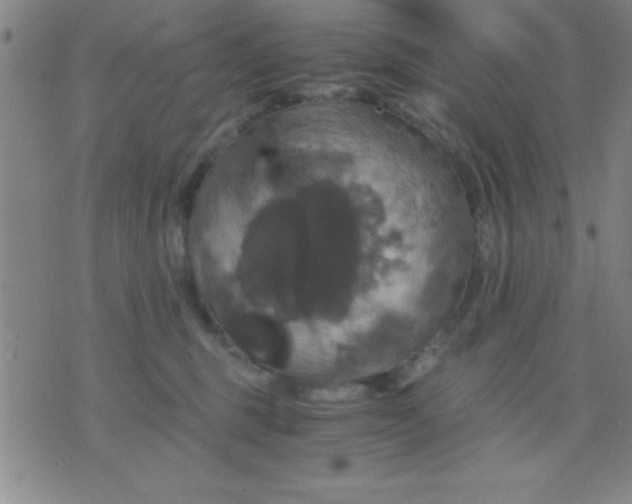 X0000075810375200610061738