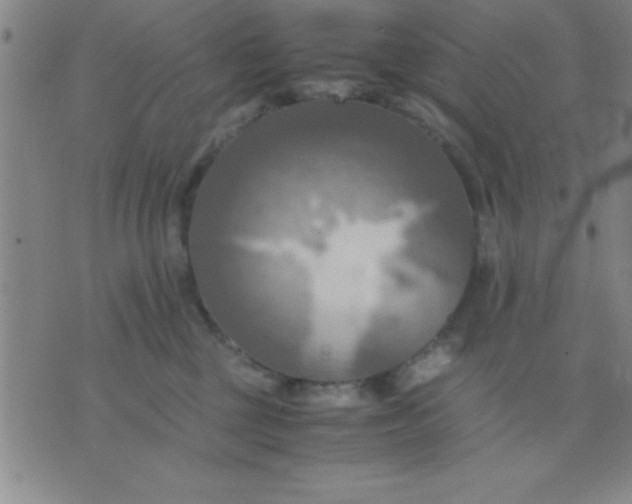 X0000075810377200610061738