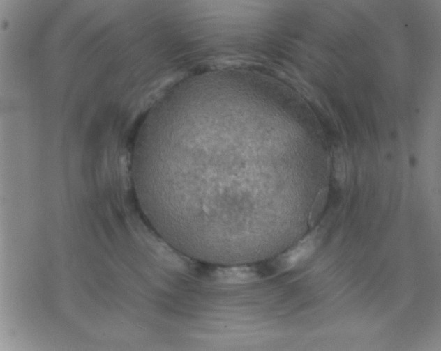 X0000075810378200610061738