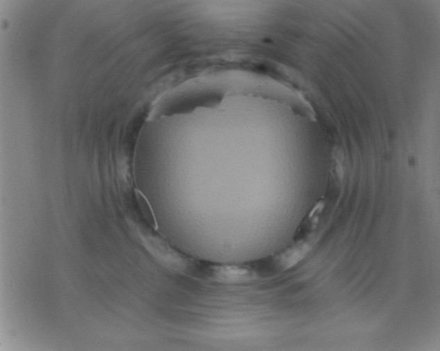 X0000075810380200610061738