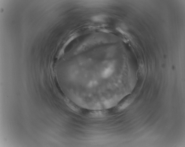 X0000075810381200610061738