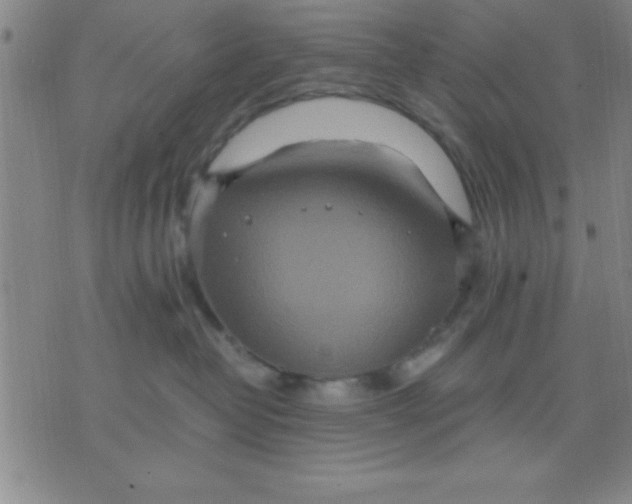 X0000075810382200610061738