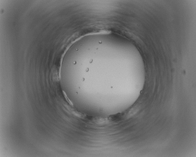 X0000075810384200610061738