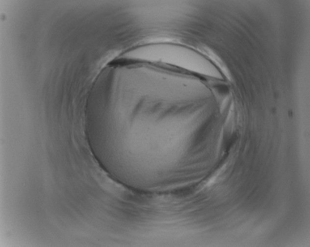 X0000075810385200610061737