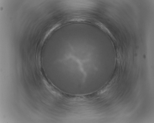 X0000075810386200610061737