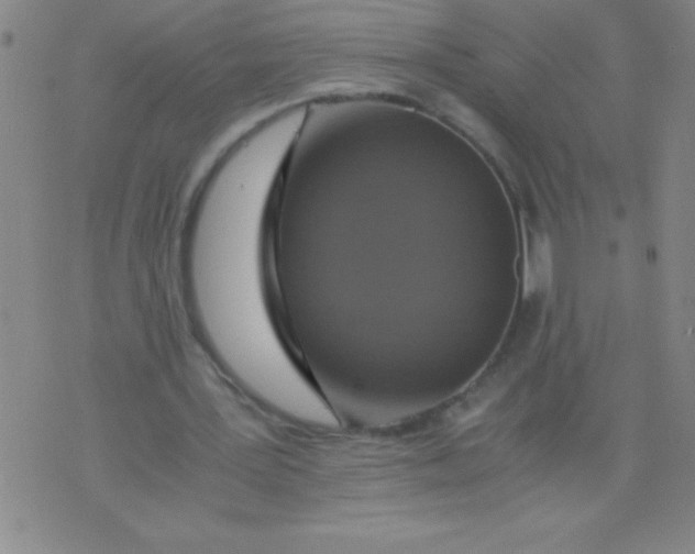 X0000075810387200610061737