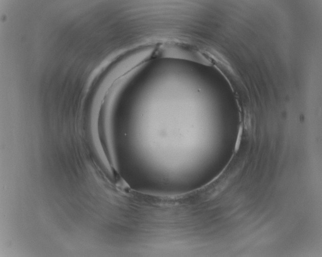 X0000075810388200610061737