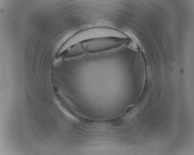 X0000075810389200610061737