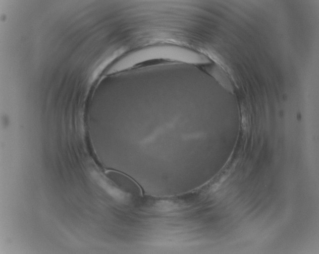 X0000075810390200610061737