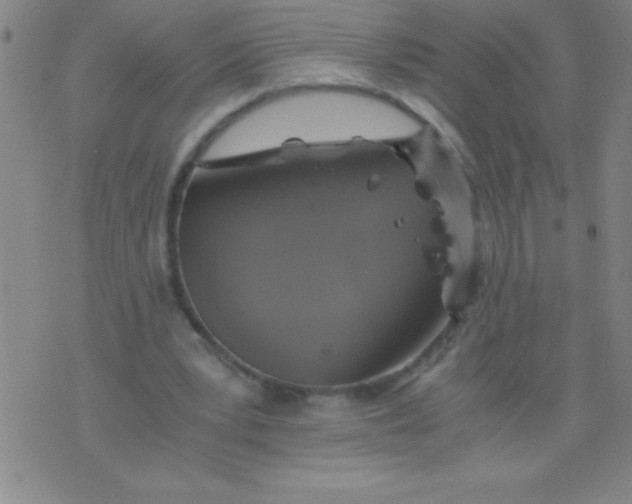 X0000075810391200610061737