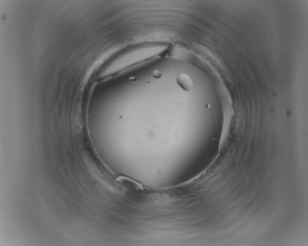 X0000075810392200610061737