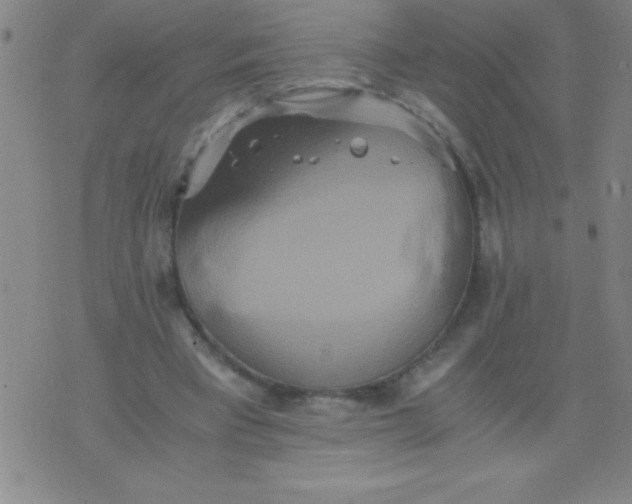 X0000075810393200610061737