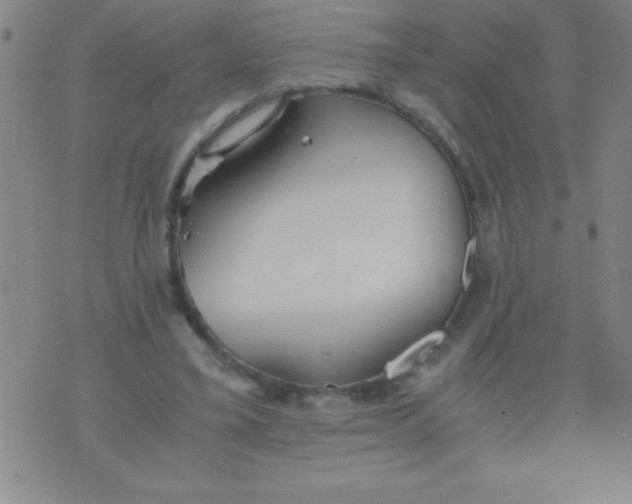 X0000075810395200610061737