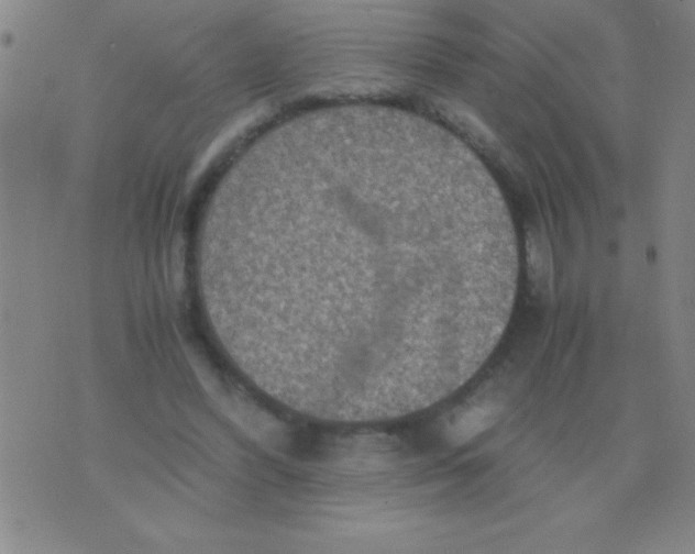 X0000075810396200610061737