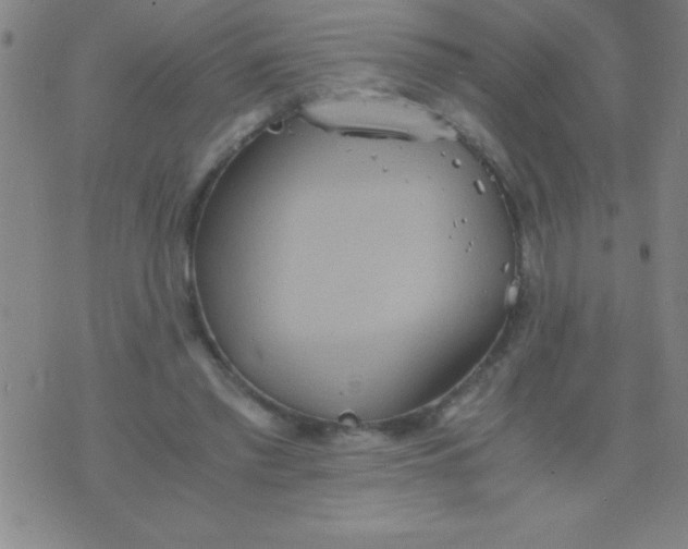 X0000075810397200610061737