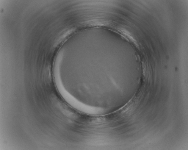 X0000075810398200610061737