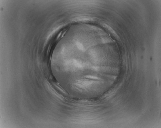 X0000075810399200610061737