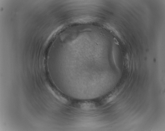 X0000075810400200610061737