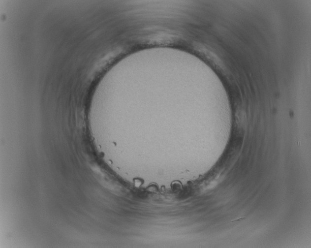 X0000075810403200610061737