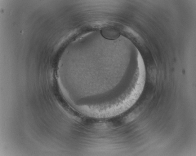 X0000075810404200610061737