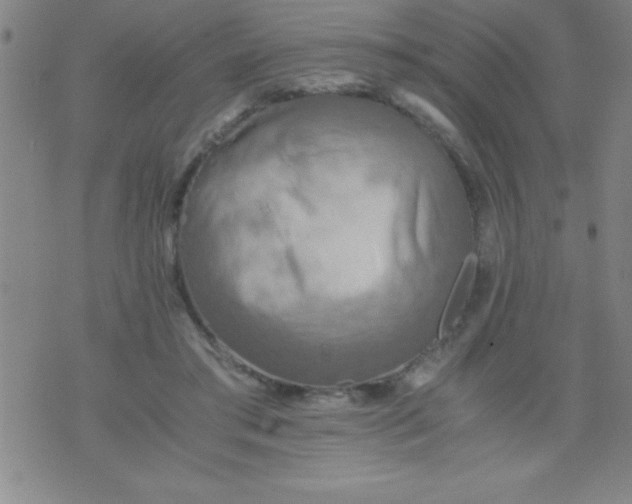 X0000075810405200610061737