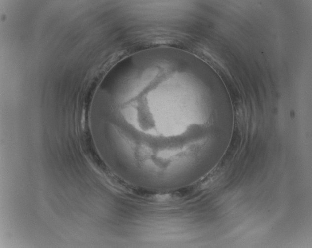 X0000075810406200610061737