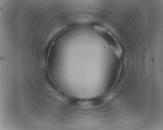 X0000075810407200610061737