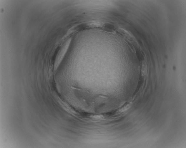 X0000075810409200610061737