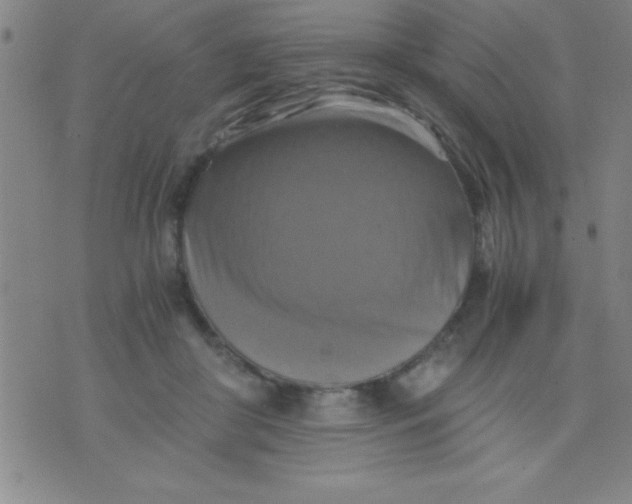 X0000075810410200610061737