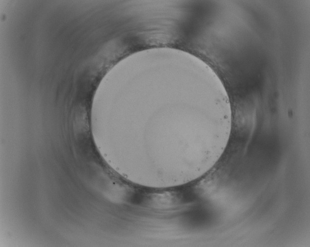 X0000075810411200610061737