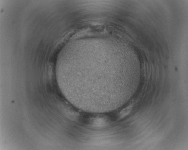 X0000075810412200610061737