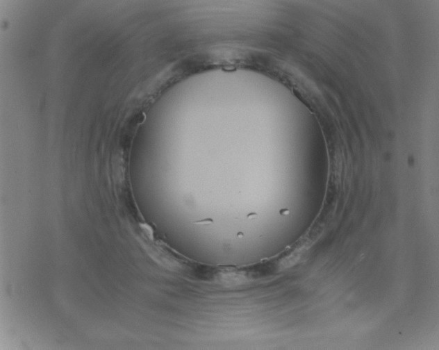 X0000075810413200610061737