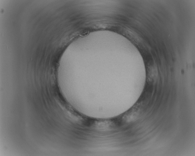 X0000075810414200610061737