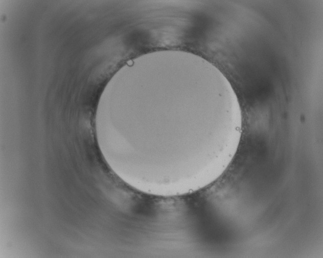 X0000075810415200610061737