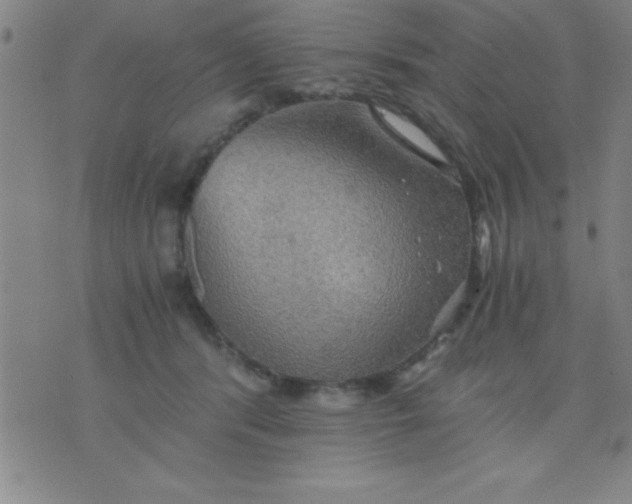 X0000075810416200610061737