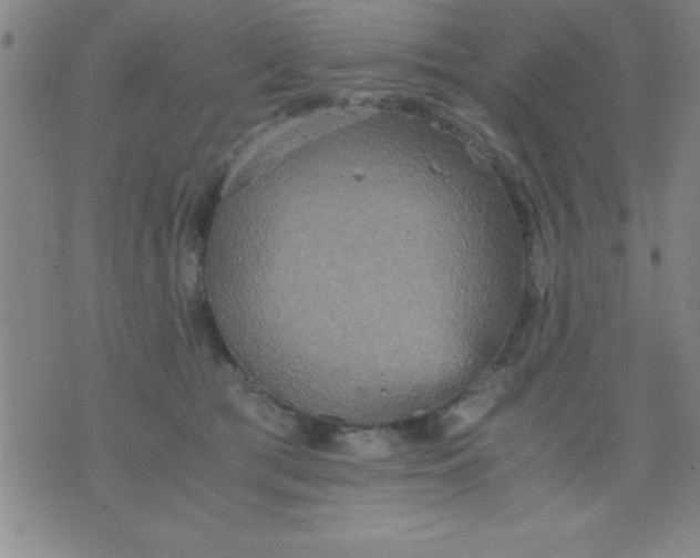 X0000075810417200610061737