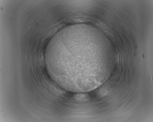 X0000075810418200610061736