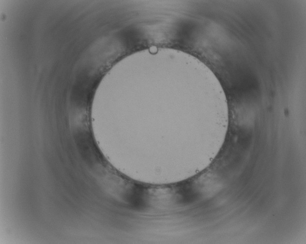 X0000075810419200610061736